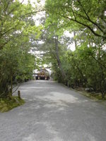 Medium_cimg2472