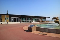 Medium_img_4223