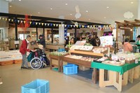 Medium_img_4211