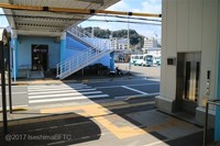 Medium_img_4235