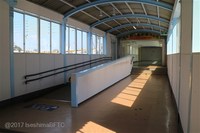 Medium_img_4257
