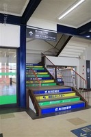 Medium_img_4242