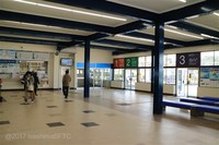 Medium_img_4254