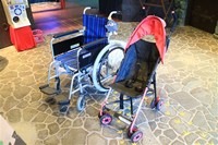 Medium_img_3626