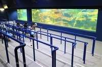 Medium_img_3546