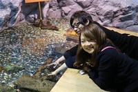 Medium_img_3575