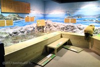 Medium_img_3595
