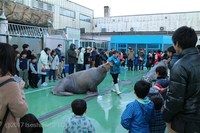 Medium_img_3677
