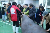 Medium_img_3680