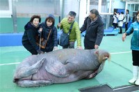 Medium_img_3719