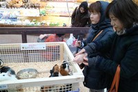 Medium_img_3722