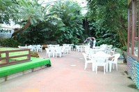Medium_img_3615
