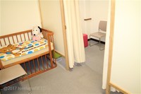 Medium_img_3540