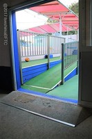 Medium_img_3607
