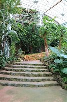 Medium_img_3614