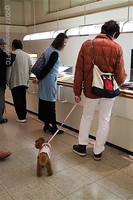 Medium_img_2837