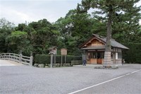 Medium_img_0432