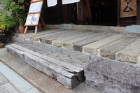 Medium_img_3636