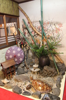 Medium_img_4024