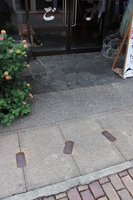 Medium_img_3855