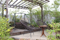 Medium_img_3920