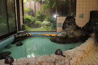 Medium_img_4005