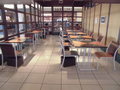 Thumb_cimg1458