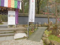 Medium_cimg1665