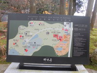 Medium_cimg1664