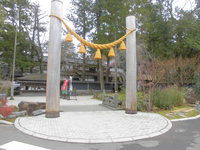 Medium_cimg1663