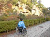 Medium_cimg1294
