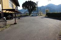 Medium_img_4745