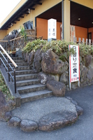 Medium_img_4734