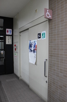 Medium_img_4835