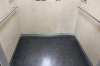 Medium_img_4820