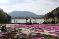 Medium_img_8527