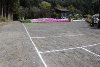 Medium_img_8519