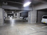 Medium_cimg3383