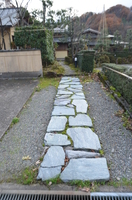 Medium_dsc_8192