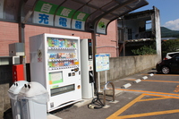 Medium_img_8959