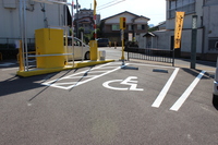 Medium_img_8961