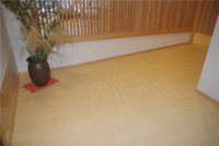Medium_imgp6401