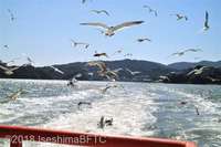Medium_14-img_1829
