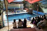 Medium_31-img_1949
