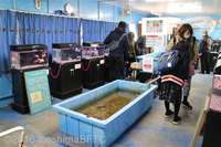 Medium_28-img_1975