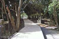 Medium_14-imgp2891