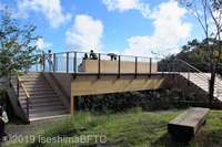 Medium_19-img_4737