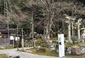 Thumb_樹齢600年余りの中能登町指定文化財のいろは楓です。