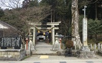 Medium_img_9655