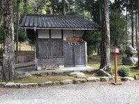 Medium_img_9654